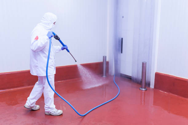 Best Dumpster Area Cleaning  in Cypress Quarters, FL